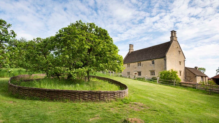 Isaac Newton's apple tree protected by willow fence in the garden with the farmhouse at the background at Woolsthorpe Manor, Lincolnshire.